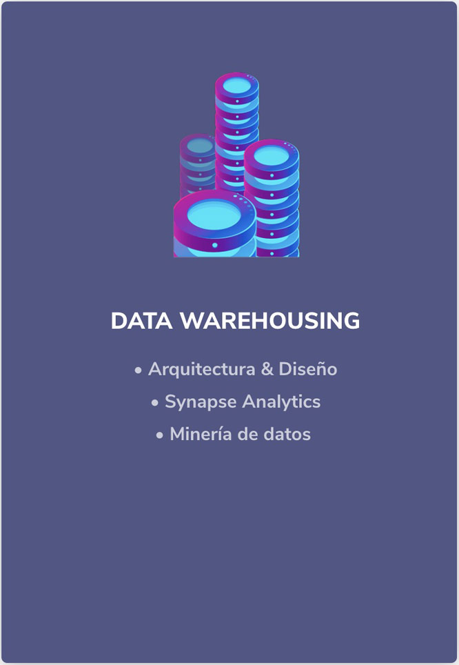 Servicio de Data Warehouse